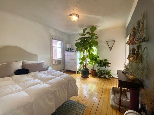 3-496 Sumner St, Boston, MA, 02128-4686 | Card Image