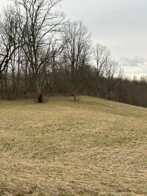 1 Mallard Point Dr, Georgetown, KY, 40324 | Card Image
