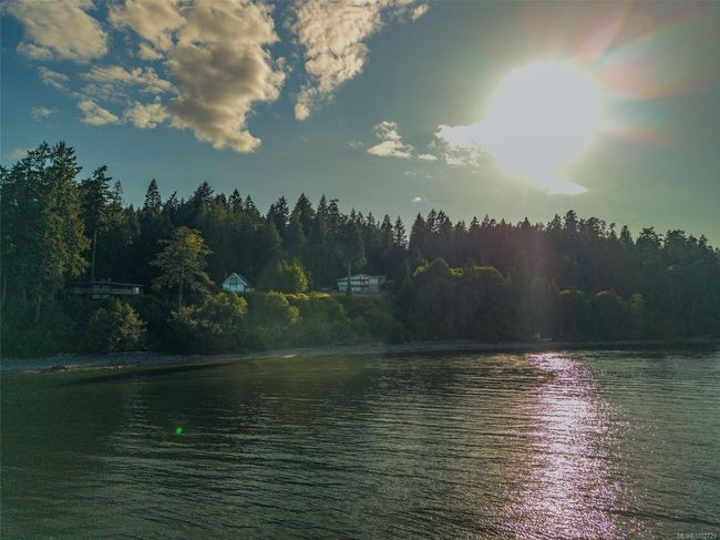 Water view with a forest | Image 96