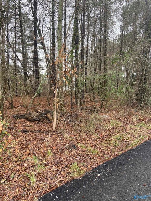 .3+/- Acres Bridge Point Road, Southside, AL, 35907 | Card Image