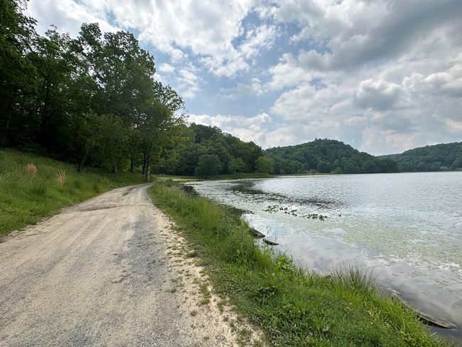 14224 Mud Fork Road, Home with 0 bedrooms, 0 bathrooms and null parking in Falls Mills VA | Image 16