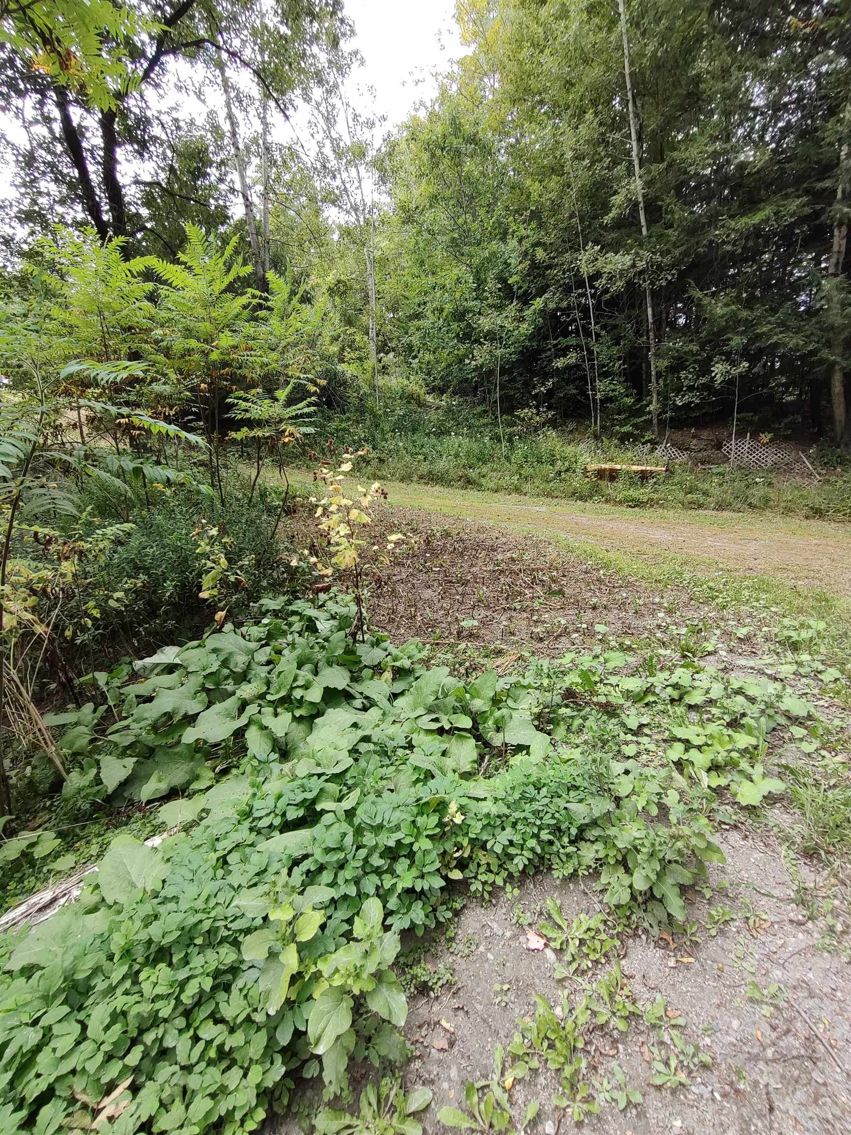 Stevens Rd, East Thetford, VT 05043