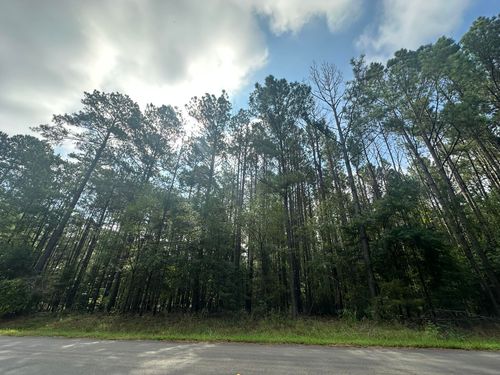 Lot 1 Dogwood Ln, Plum Branch, SC, 29845 | Card Image
