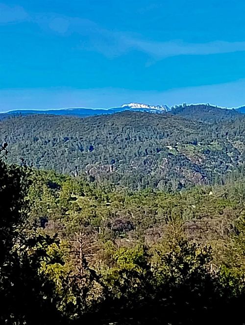 18175 Piper Ln, Penn Valley, CA, 95946-9005 | Card Image