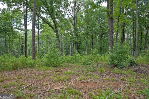 91 Askin Place Rd, Culloden, GA, 31016 | Card Image