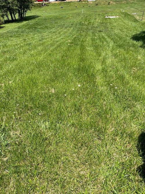 4431 E Cumberland Rd, Bluefield, WV, 24701-5147 | Card Image