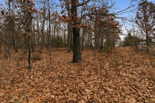 Tbd Old Highway 60, Mountain View, MO, 65548 | Card Image