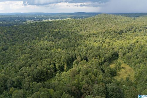 0-4255 Kelly Creek Rd, Odenville, AL, 35120-4951 | Card Image