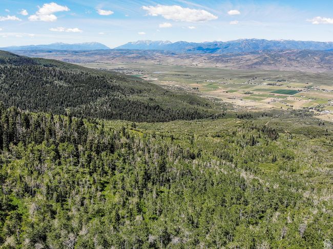 Mountain view with a forest view | Image 19