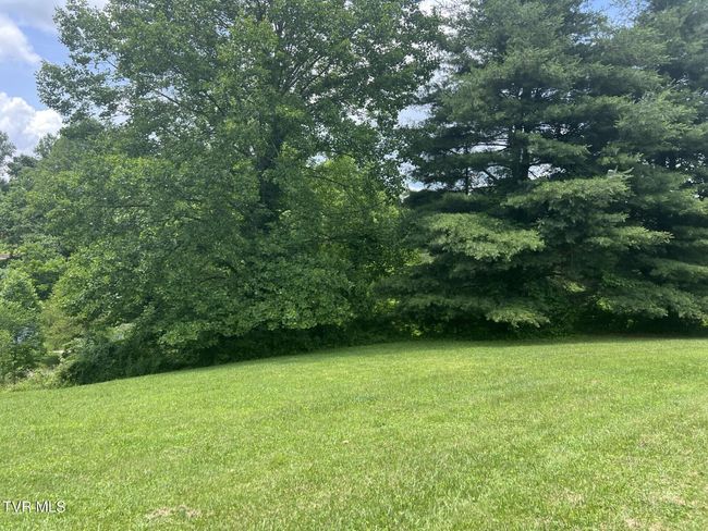 3911 Tate Springs Rd, House other with 3 bedrooms, 2 bathrooms and null parking in Big Stone Gap VA | Image 8
