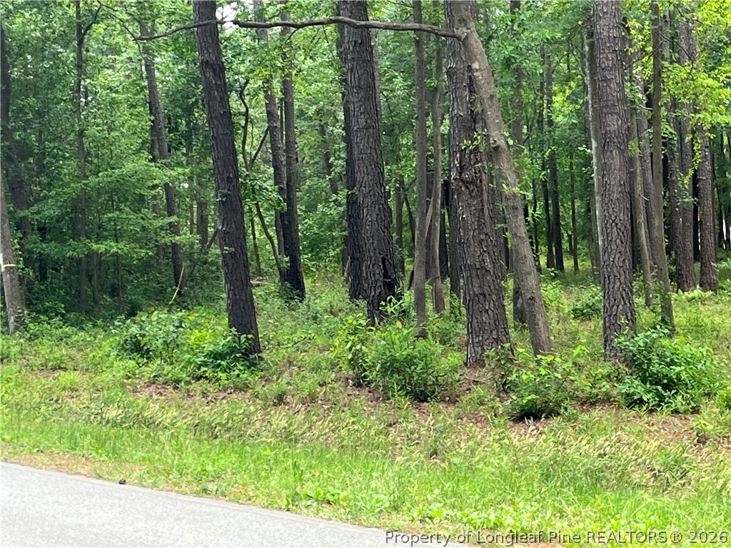 Land in Maxton 3