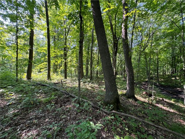 3088 110 Th St, Home with 0 bedrooms, 0 bathrooms and null parking in FREDERIC WI | Image 20