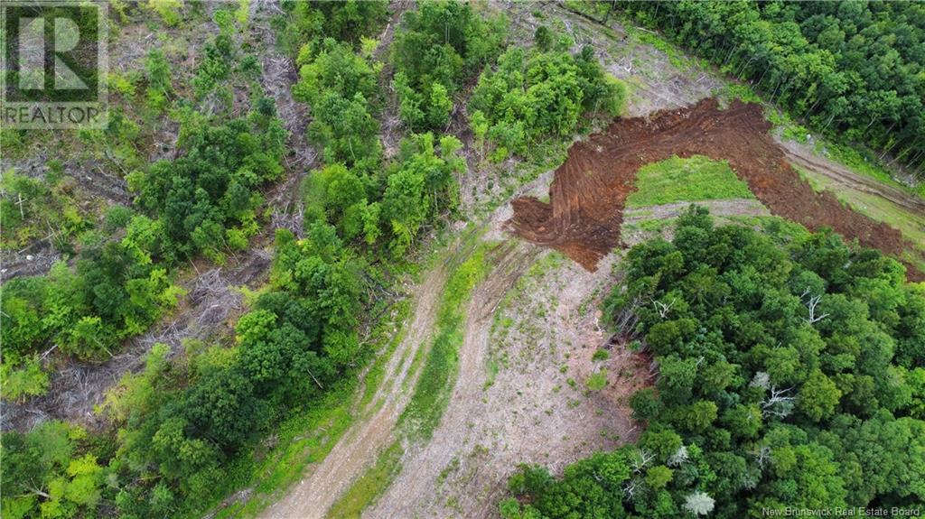 Land in Central Hainesville 4