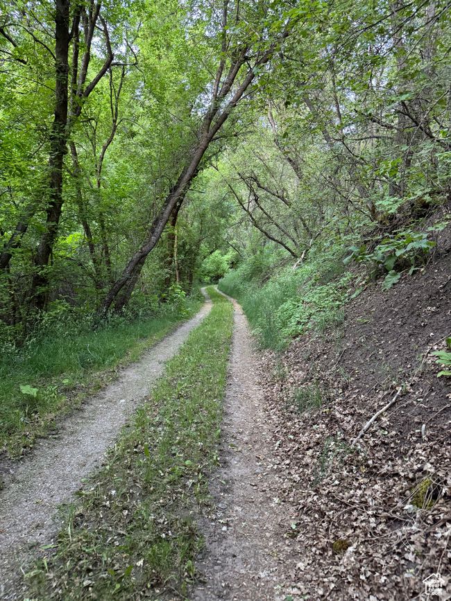 View of road with a forest view | Image 20