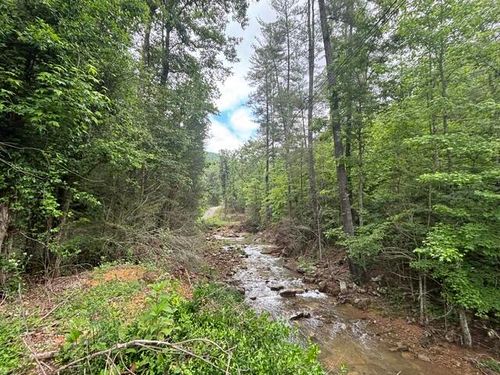 80 Hell Hole Road, Pikeville, TN, 37367 | Card Image