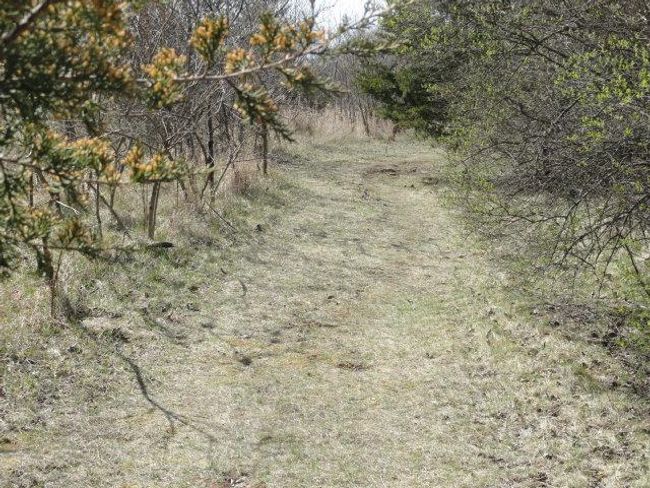 10.45 Acres Ringhand Rd, Home with 0 bedrooms, 0 bathrooms and null parking in SYLVESTER WI | Image 46