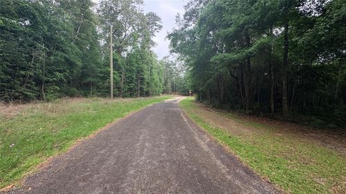 Lot 19&20 Perdilot Drive, Ivanhoe, TX, 75979 | Card Image