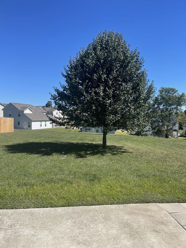 3037 Commonwealth Dr, House other with 4 bedrooms, 3 bathrooms and 4 parking in Spring Hill TN | Image 31