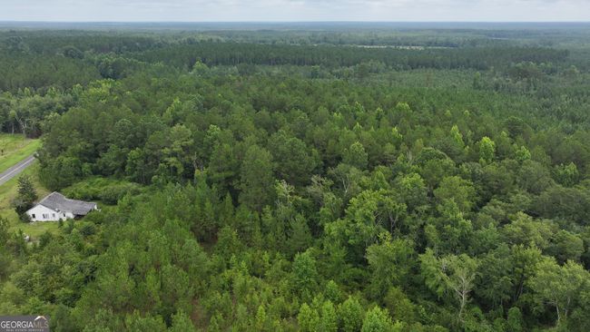 0 Boiling Springs Rd, Home with 0 bedrooms, 0 bathrooms and null parking in Soperton GA | Image 6