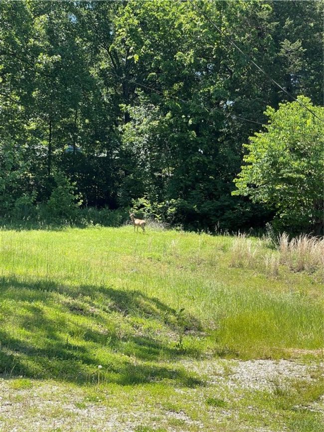 17438 Lake Sequoyah Rd, House other with 3 bedrooms, 1 bathrooms and null parking in Fayetteville AR | Image 21