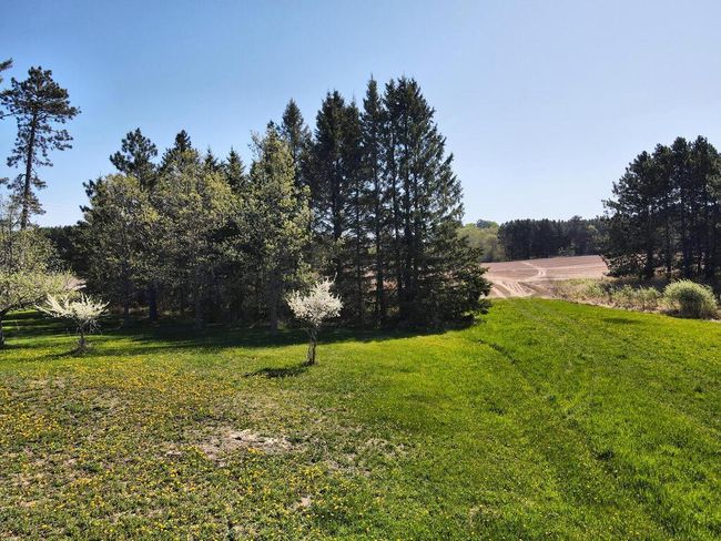 Backyard to field | Image 32