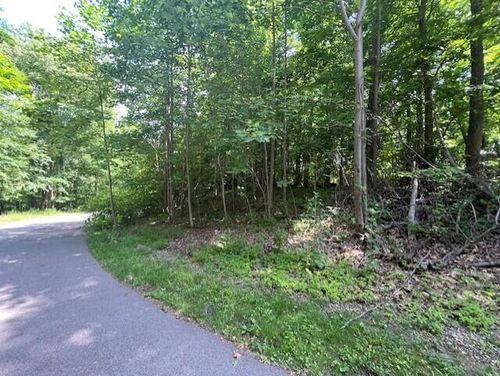 1-16975 River Bluff Dr, Union Pier, MI, 49129 | Card Image