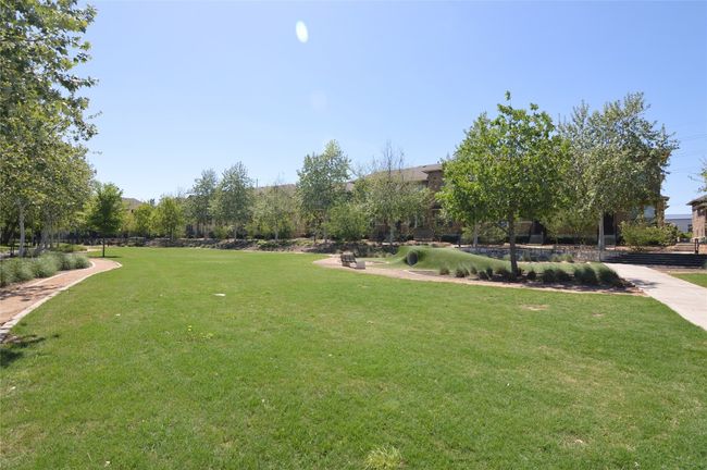 View of green lawn | Image 30