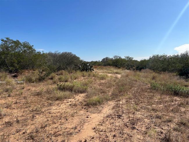0 N Mesquite St, Home with 0 bedrooms, 0 bathrooms and null parking in Pearsall TX | Image 4