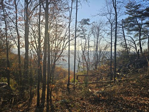 b-5-407 Brow Wood Ln, Lookout Mountain, GA, 30750-4179 | Card Image