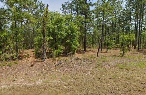 00 Nw Columbine Ave, Dunnellon, FL, 34431 | Card Image