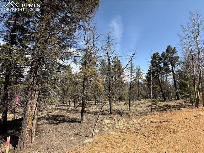 242 Apache Creek Dr, Home with 0 bedrooms, 0 bathrooms and null parking in FLORISSANT CO | Image 6