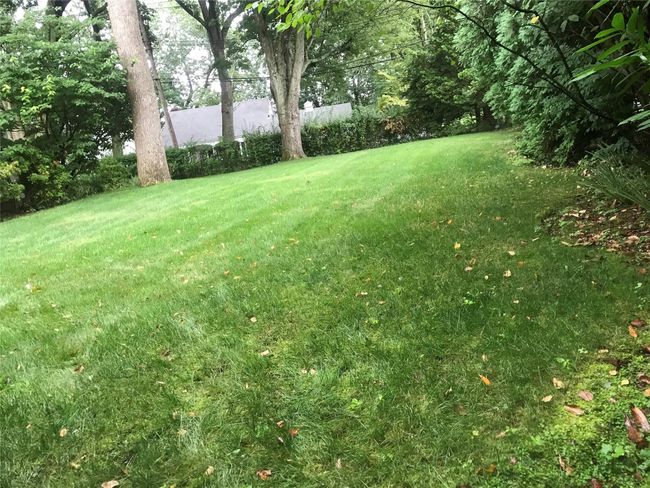 Level Yard | Image 25