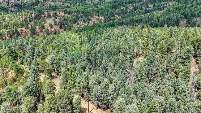 94 Mariposa Cir, Home with 0 bedrooms, 0 bathrooms and null parking in Cripple Creek CO | Image 19