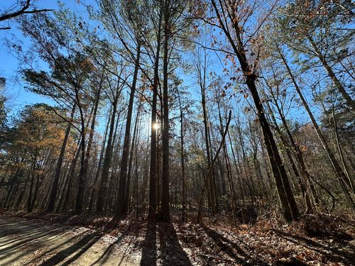 LOT 8 Saggus Rd, Washington, GA, 30673 | Card Image