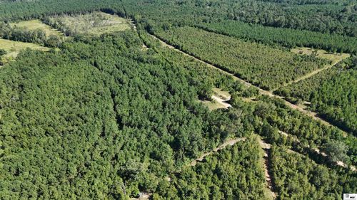 000 Water Tank Rd, Marion, LA, 71260 | Card Image