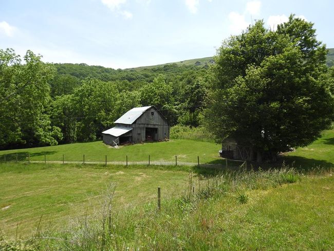 984 Cloverdale Rd, House other with 4 bedrooms, 1 bathrooms and null parking in Independence VA | Image 61