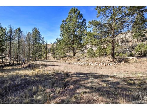 238 Chateau West Dr, Florissant, CO, 80816-8210 | Card Image