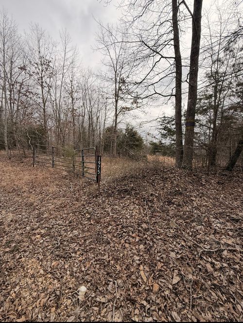 1975 Dogwood Rd, Hurricane Mills, TN, 37078 | Card Image