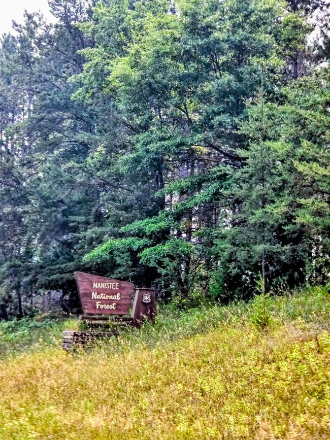 Property is within 2 miles of the Manistee National Forest (down M37 South) | Image 12