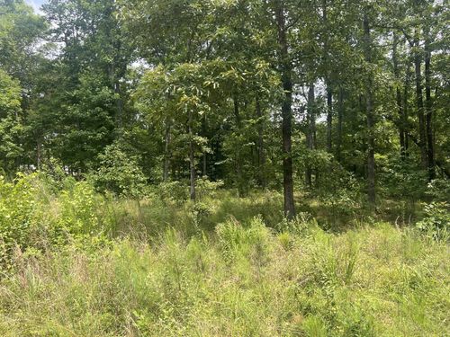 17 Lakeview Dr, Linden, TN, 37096 | Card Image