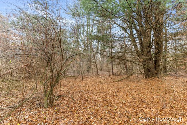 PARCEL-1 - V/L W Snows Lake Road, Home with 0 bedrooms, 0 bathrooms and null parking in Fenwick MI | Image 4