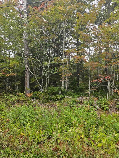 211 Bennie Muckle Rd, Walton, NS, B0N2R0 | Card Image