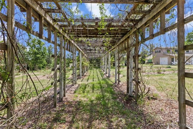 rose arbor | Image 5