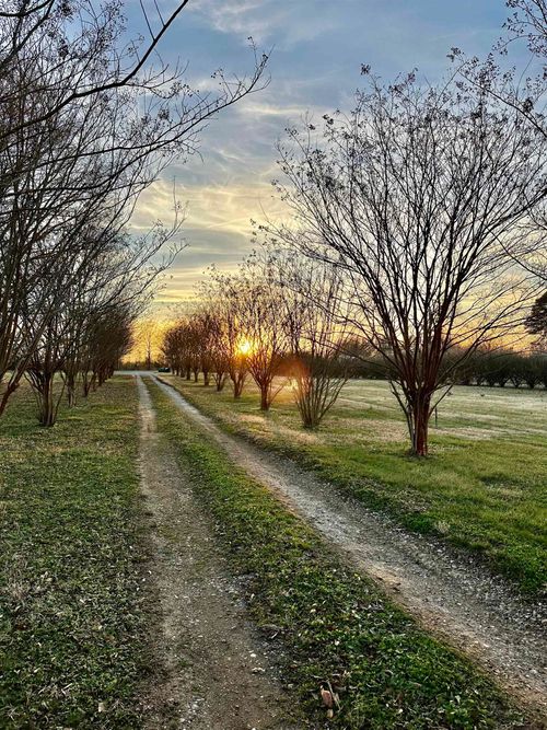 676 Buck Shoals Road, Gaffney, SC, 29341 | Card Image