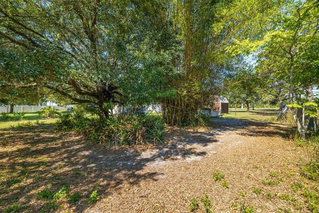 7308 Boyette Road, House other with 3 bedrooms, 2 bathrooms and null parking in Wesley Chapel FL | Image 28