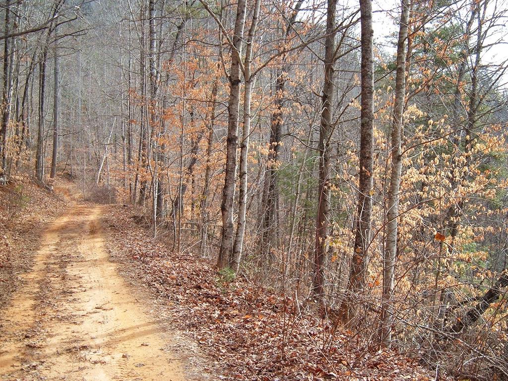Land in Tuckasegee