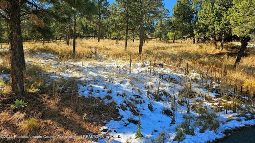 107 Rio Arriba Rd, Ruidoso, NM, 88345-9074 | Card Image