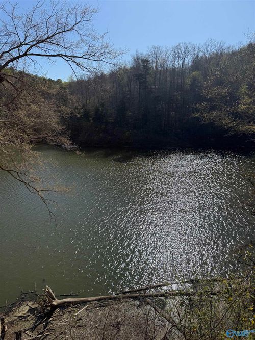 Lot 11 County Rd, Arley, AL, 35541 | Card Image