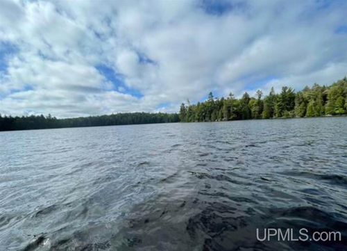 TBD Loon Lake Road, Covington, MI, 49919 | Card Image