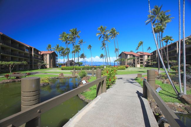 C107 - 3543 Lower Honoapiilani Rd, Condo with 0 bedrooms, 1 bathrooms and null parking in Lahaina HI | Image 29